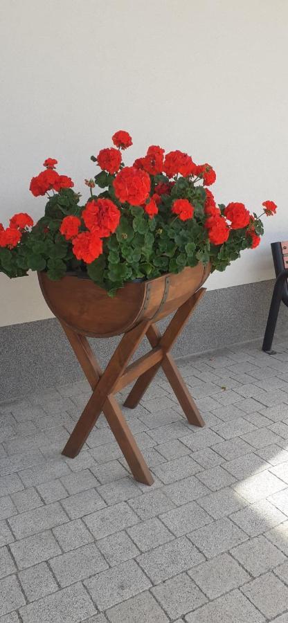 Agroturystyka Aura Kostrzyca 外观 照片
